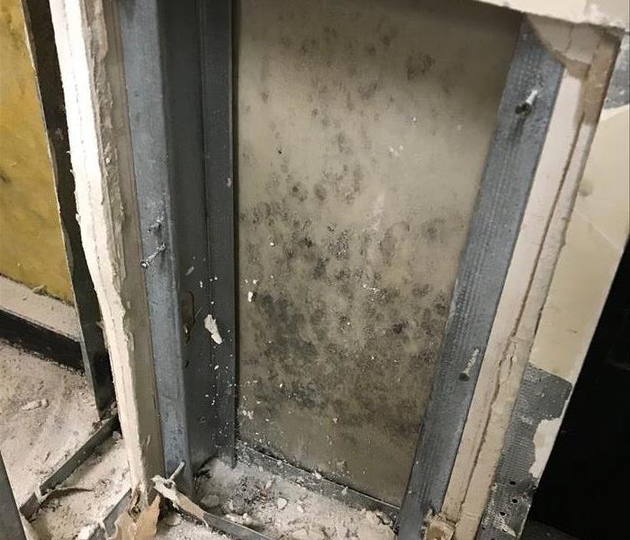 Mold in commercial building