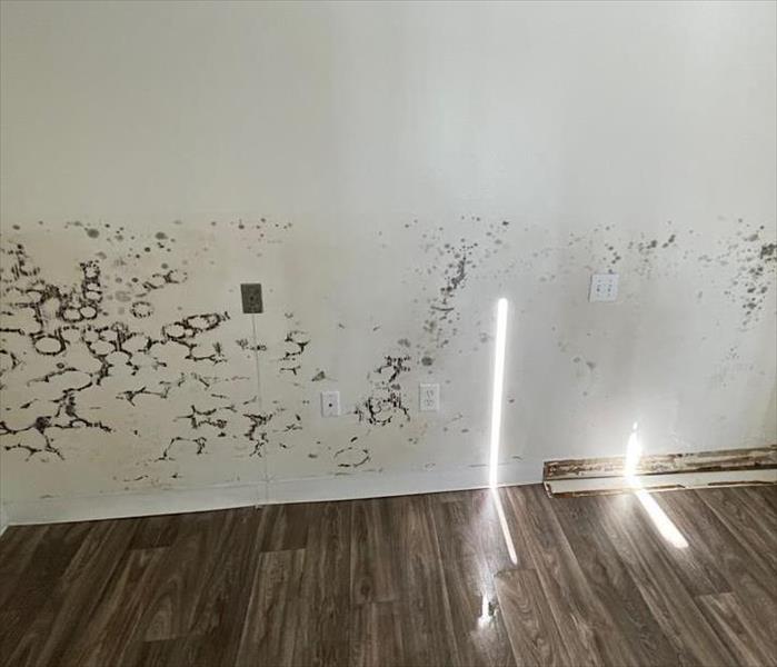 White room with visible mold
