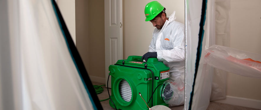 North Long Beach, CA mold cleanup